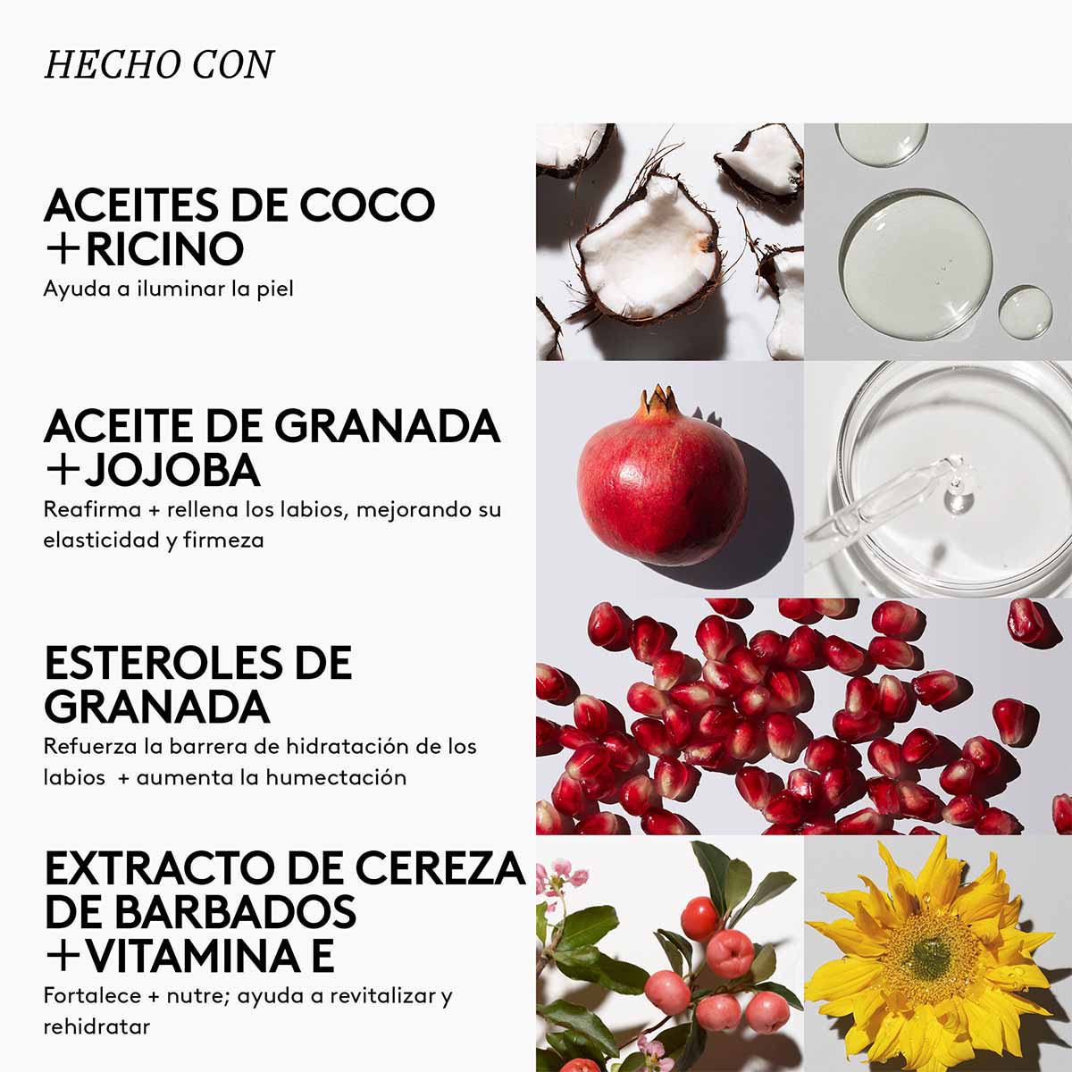 PLUSH PUDDIN' (MASCARILLA INTENSIVA PARA LABIOS CON ESTEROLES DE GRANADA Y VITAMINA E)